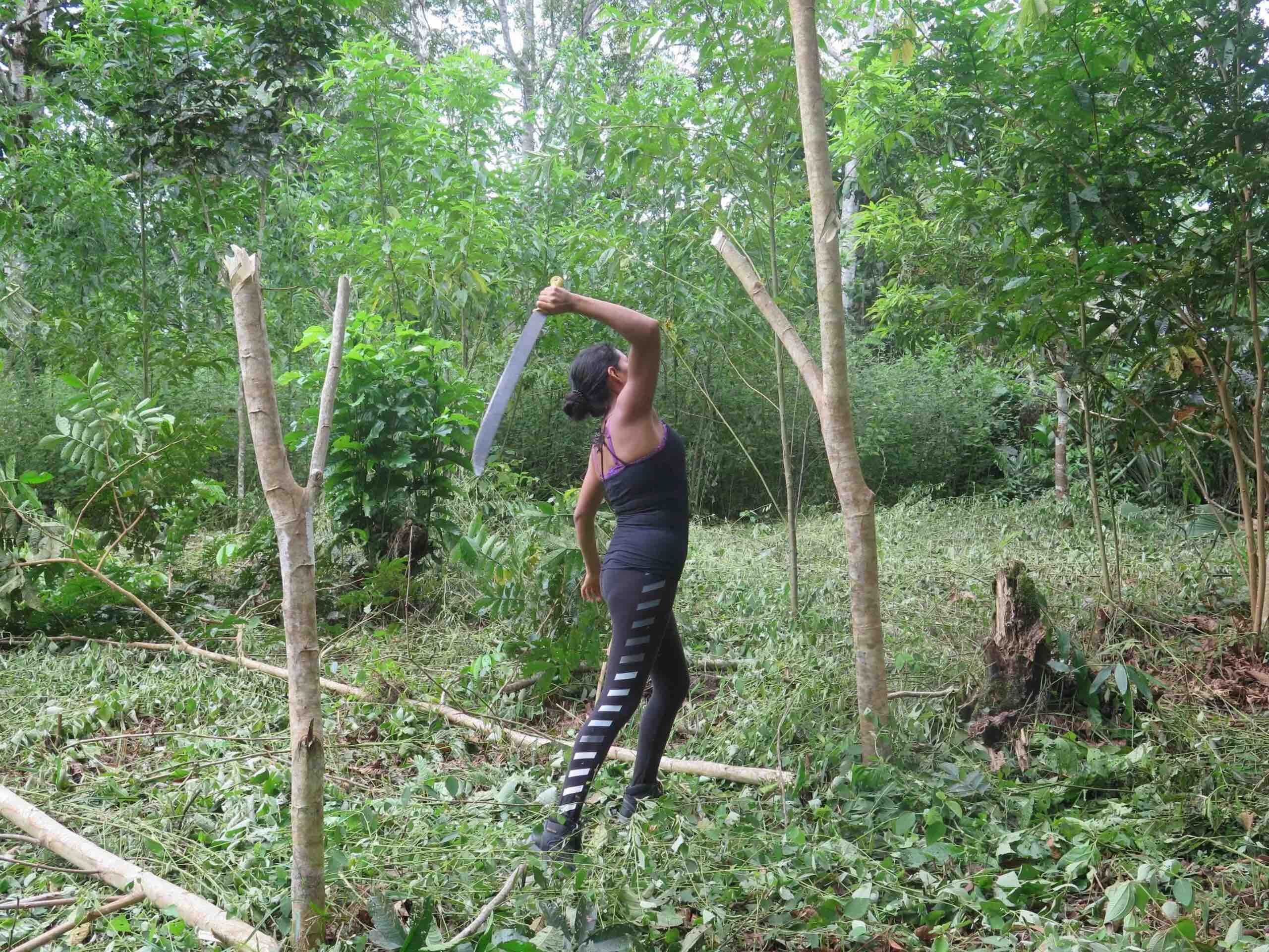 Woman Pollarding Trees