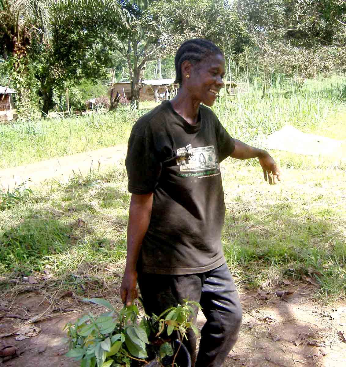 Inga seedlings being transported by hand in a bucket