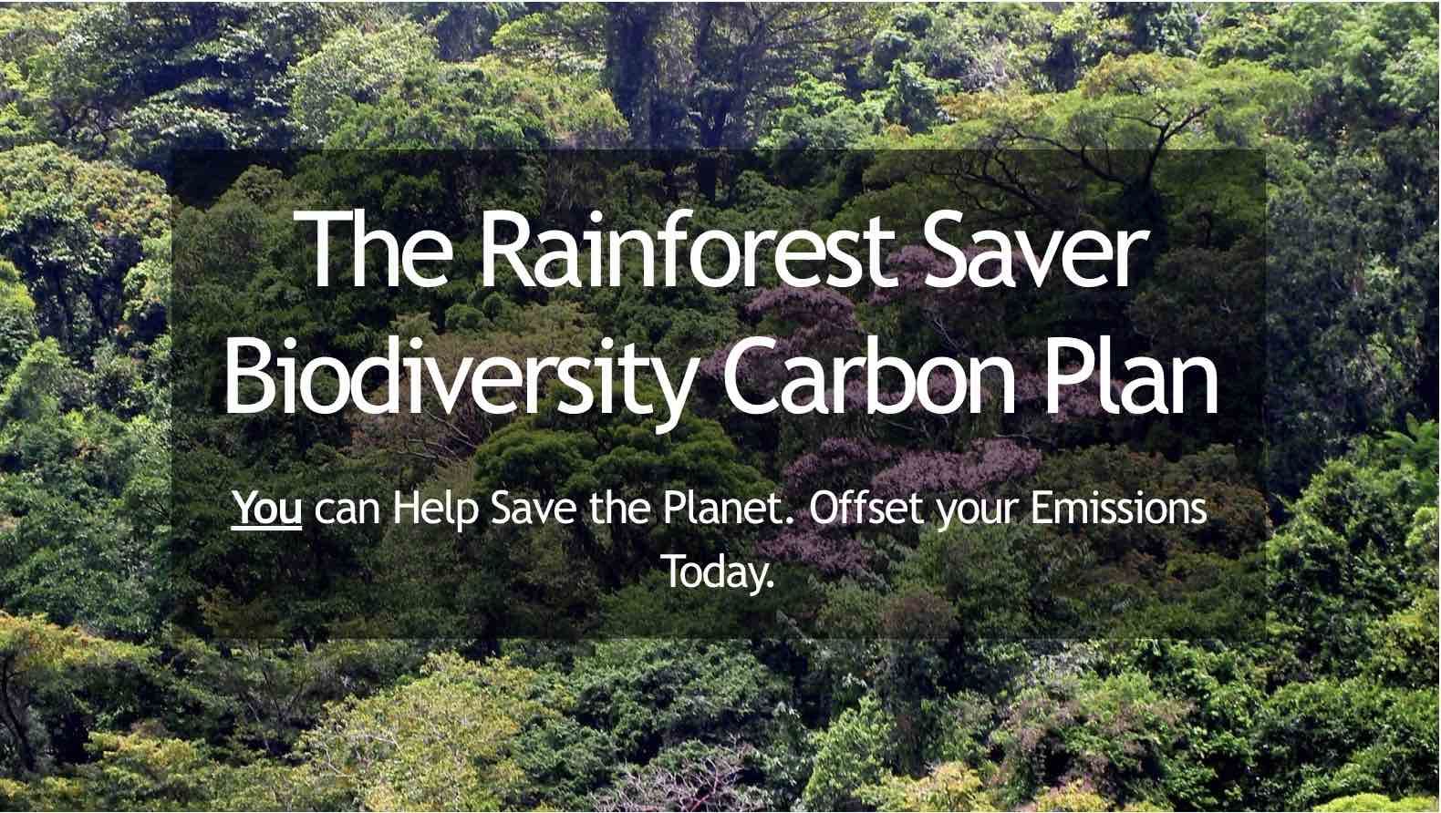 Scales showing carbon emissions and carbon sinks